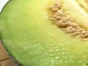 佛山瓜可以吃吗,揭秘其可食用之谜