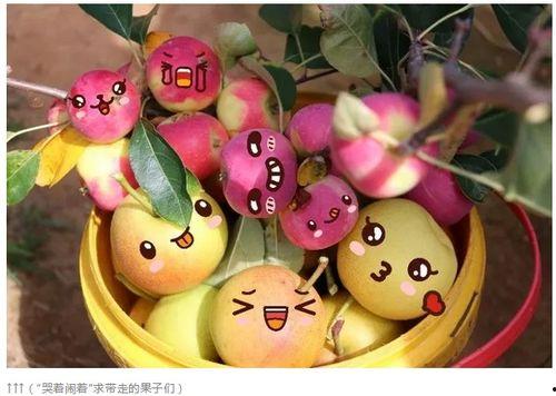 脸红mm吃瓜,揭秘娱乐圈幕后真相