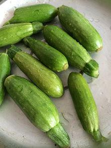 只有角瓜怎么吃,解锁角瓜的多彩吃法