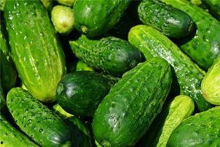 孕妇梦见吃京瓜