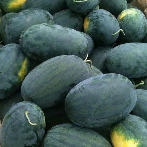 小朋友吃地雷瓜,地雷瓜引发的欢乐童年回忆