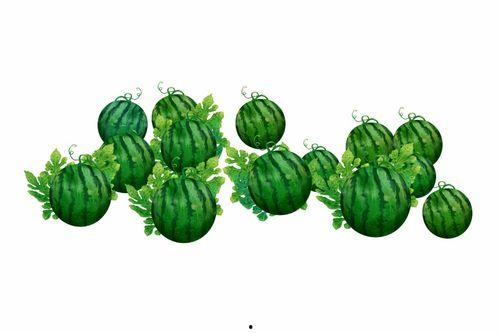 阿冉吃瓜,揭秘娱乐圈那些不为人知的幕后故事