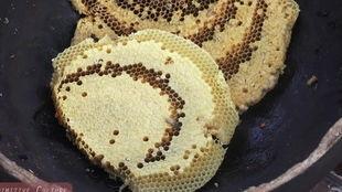 虫哥带你吃瓜,揭秘娱乐圈那些事儿