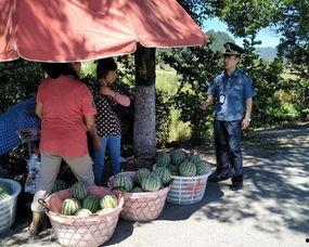 乌镇吃瓜群众,揭秘网络热点的幕后故事